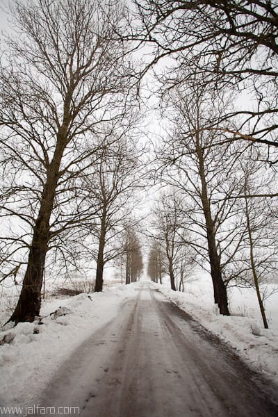 Paisaje nevado de Estonia