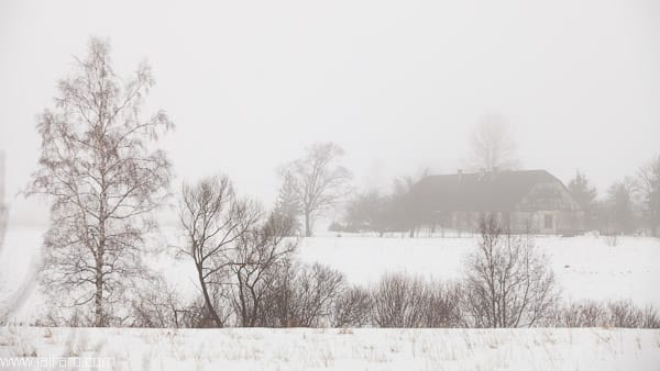 Paisaje nevado de Estonia
