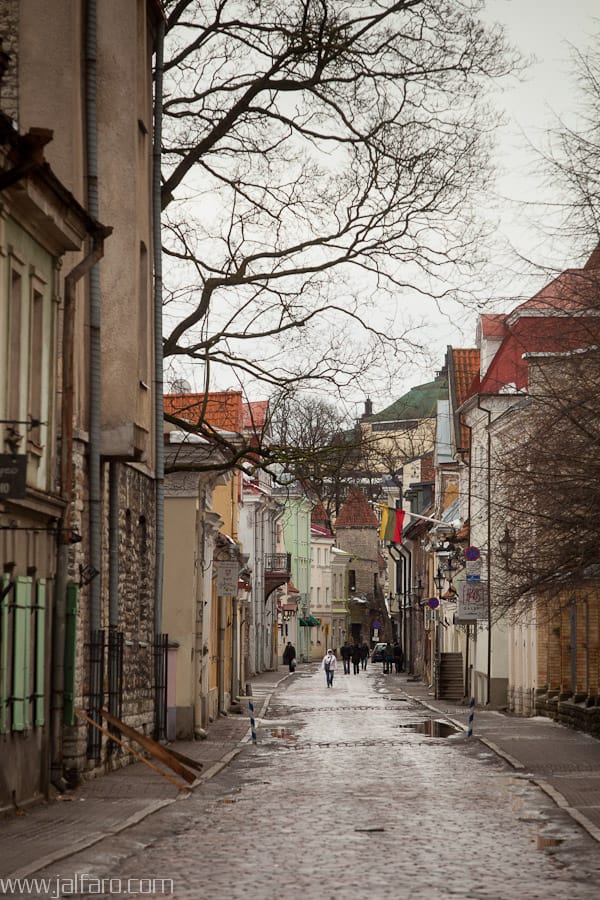 Tallin - Estonia