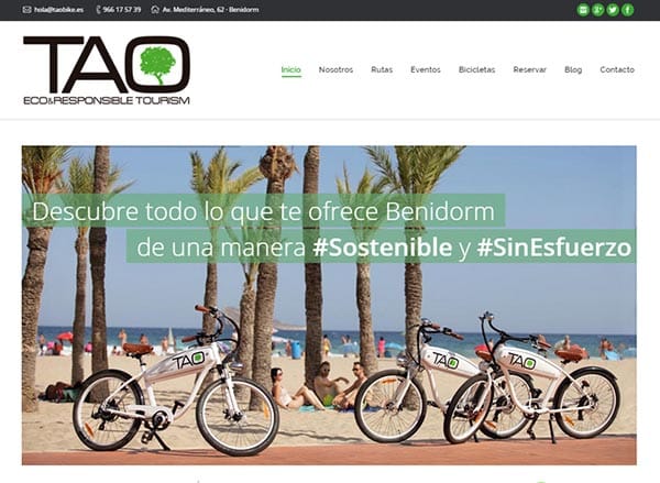 Diseño web Alicante